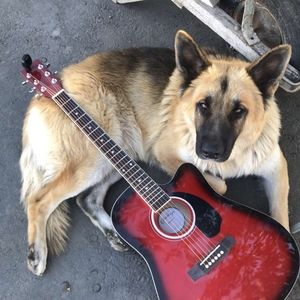 Meet your Posher, Yung